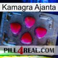 Kamagra Ajanta 13